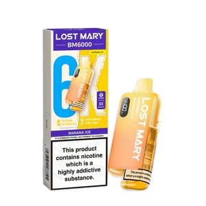 Lost Mary BM6000 Pod Kit